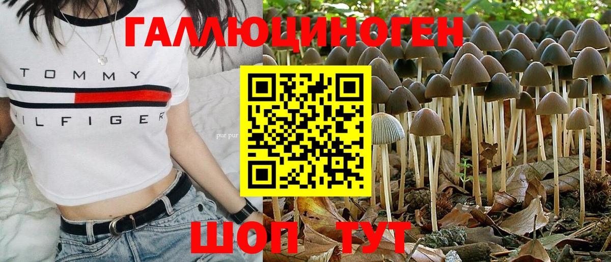 Псилоцибиновые грибы Cubensis Кемерово