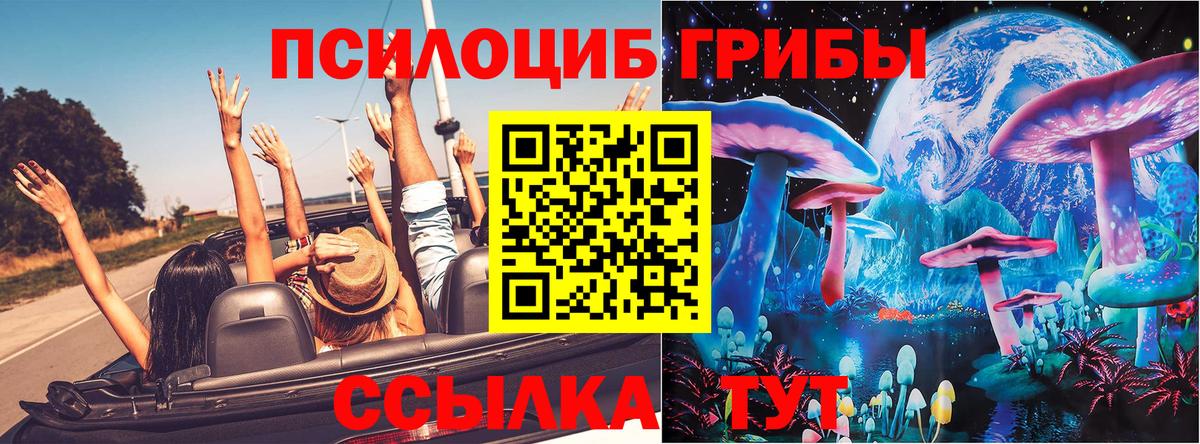 Галлюциногенные грибы Psilocybe  Галлюциногенные грибы мухоморы  Кемерово  Вход с VPN 
